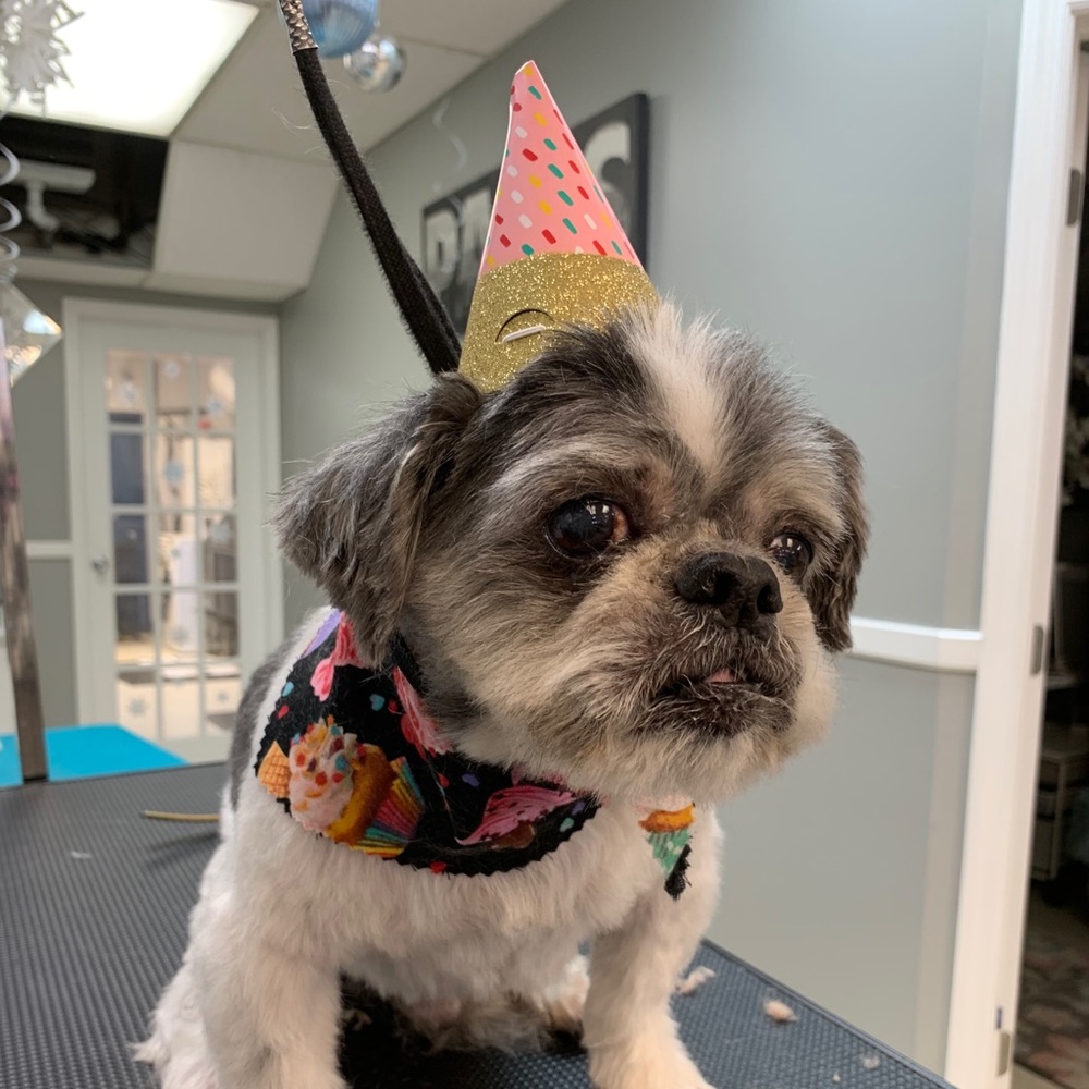 Meet your Posher, Tracy